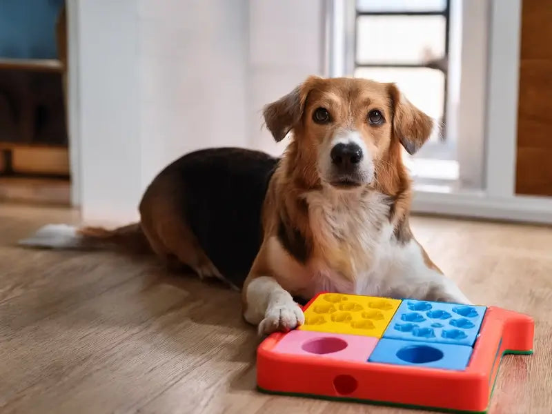 Are Dog Puzzle Toys Good for Dogs