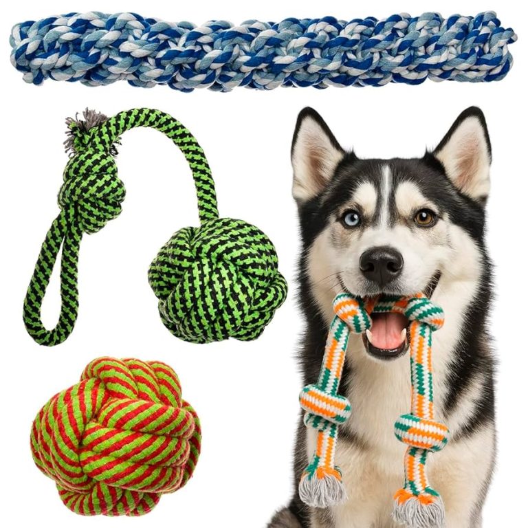 Are Rope Toys Safe for Dogs