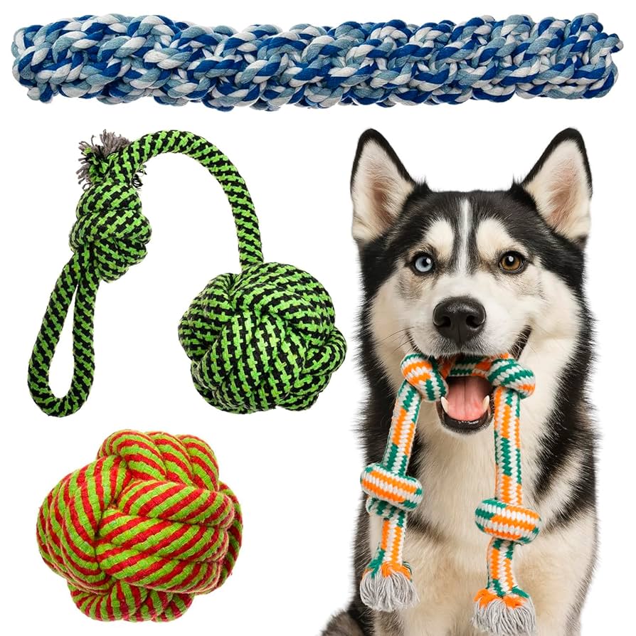 Rope Toy Safety Tips For Dog Owners With Multiple Pets