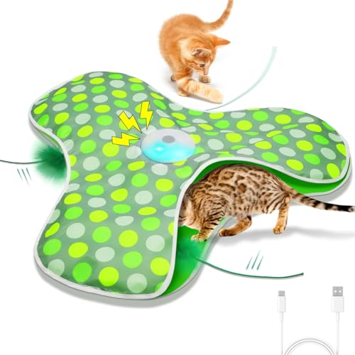 Best Cat Toys for Smart Cats