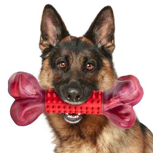 Best Chew Toy for German Shepherd