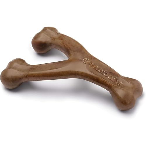 Best Chew Toy