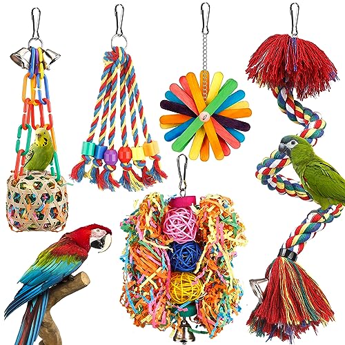 Best Conure Toys