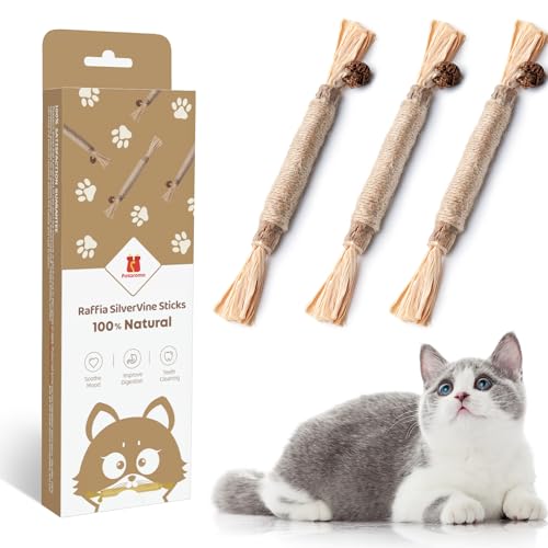 Best Dental Toys for Cats