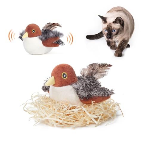 Best Flying Cat Toy