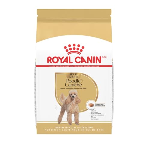 Best Food for Toy Poodle