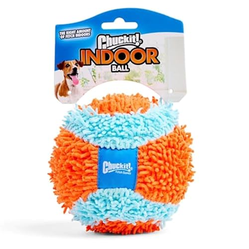 Best Indoor Dog Toys