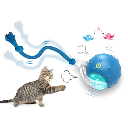 Best Interactive Cat Ball Toy
