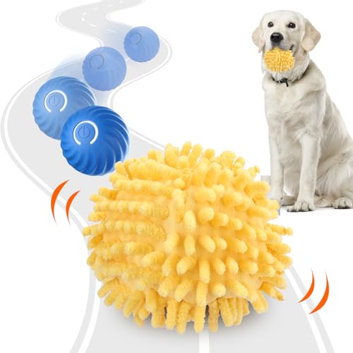 Best Interactive Toys for Small Dogs