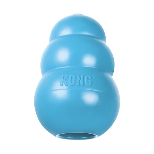 Best Kong Toys for Puppies