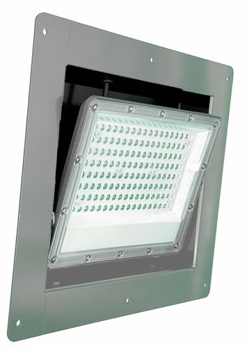 Best Light Toy Hauler