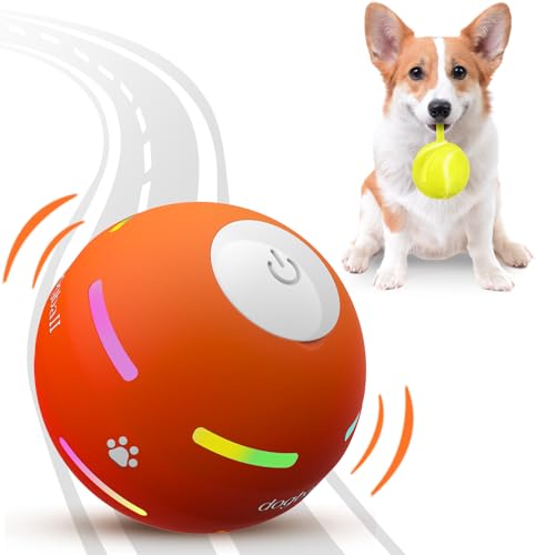 Best Motion Activated Dog Toys