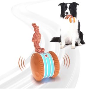 Best Moving Dog Toys