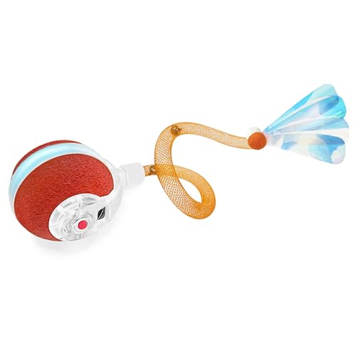 Best Moving Toys for Cats