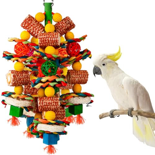 Best Parrot Toys