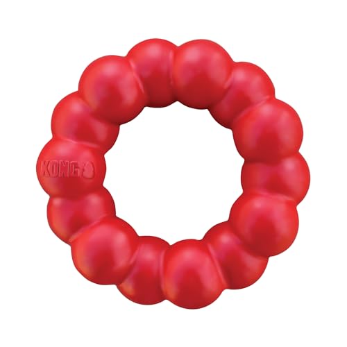 Best Puppy Chew Toys for Lab