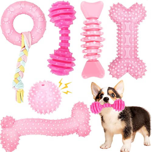 Best Puppy Chewing Toys