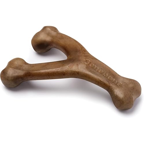 Best Safe Chew Toys for Dogs