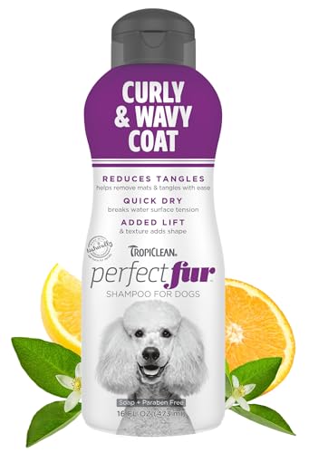 Best Shampoo for Toy Poodle