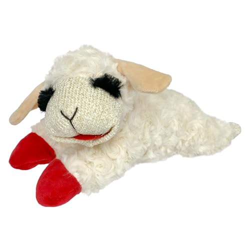 Best Small Dog Toy