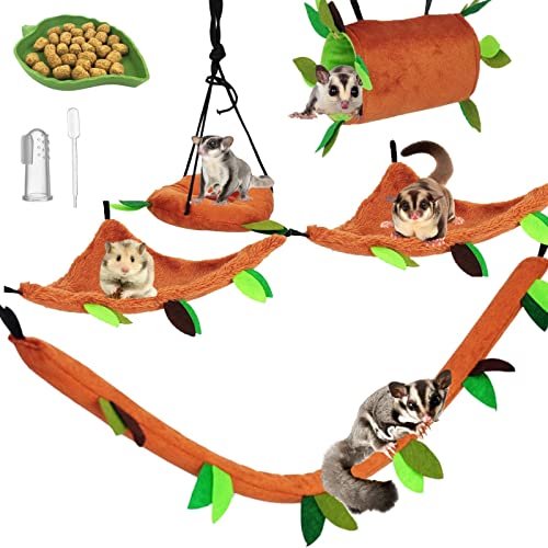 Best Sugar Glider Toys