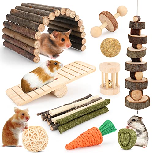 Best Syrian Hamster Toys