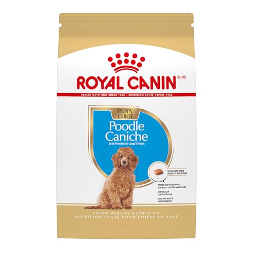 Best Toy Poodle Food