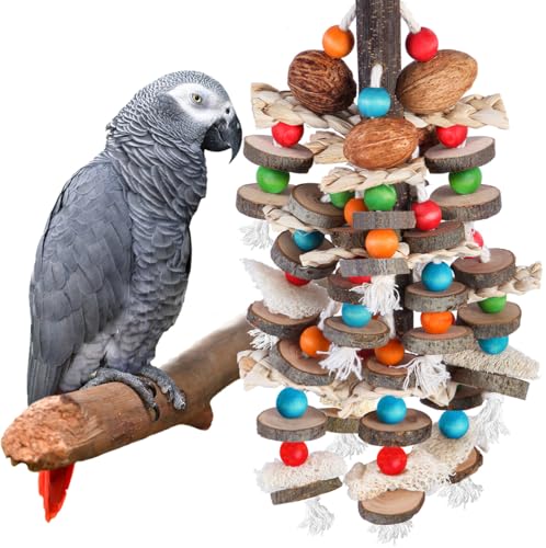 Best Toys for African Grey