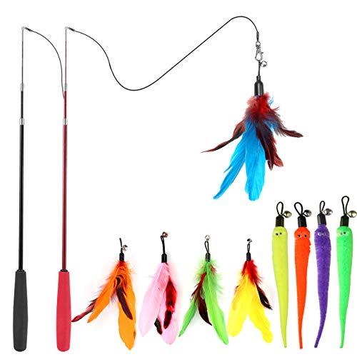 Best Toys for Aggressive Cats