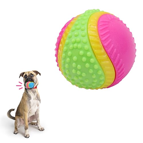 Best Toys for Blind And Deaf Dogs