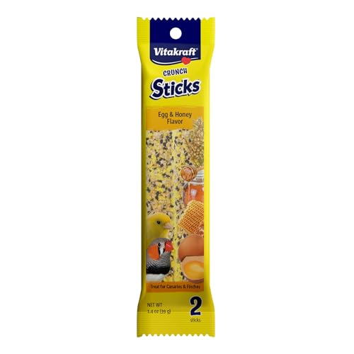 Best Toys for Canaries