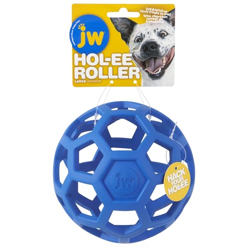 Best Toys for Gsp