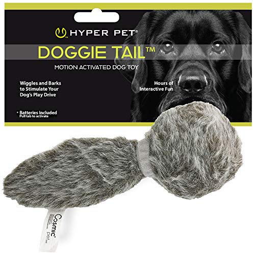Best Toys for Hyper Dogs