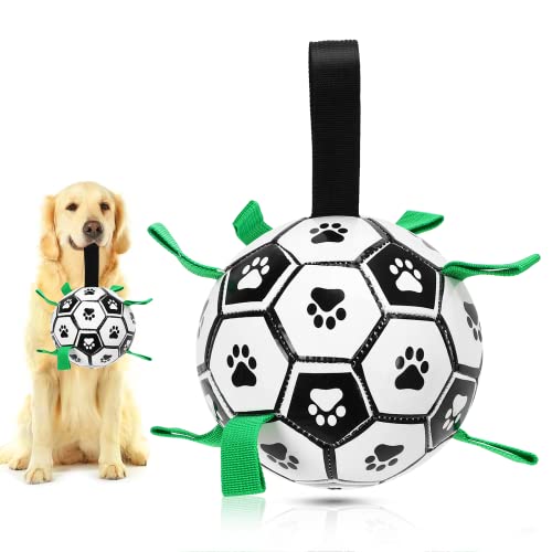 Best Toys for Jack Russell Terriers