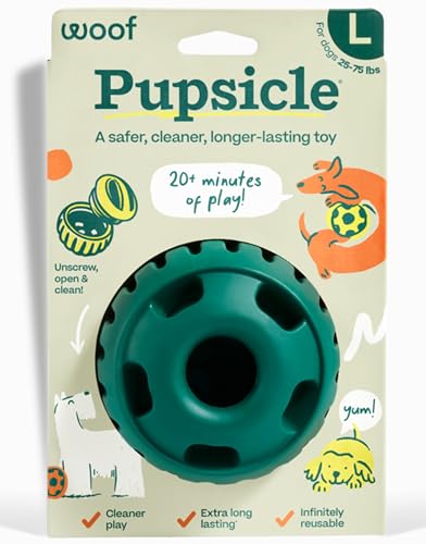 Best Toys for Older Dogs