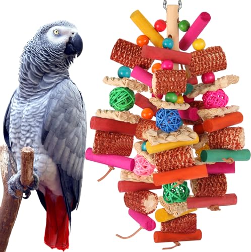 Best Toys for Quaker Parrots