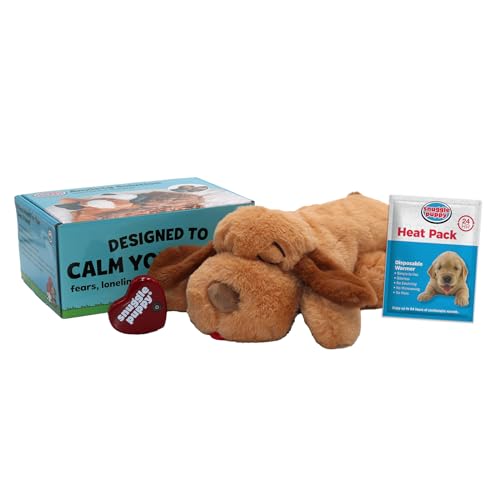 Best Toys for Separation Anxiety Dogs