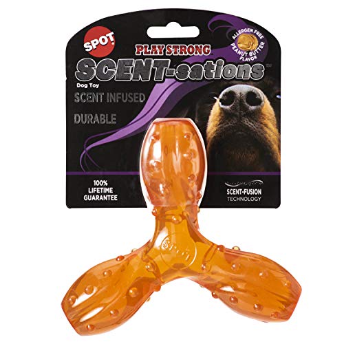 Best Toys for Tripod Dogs