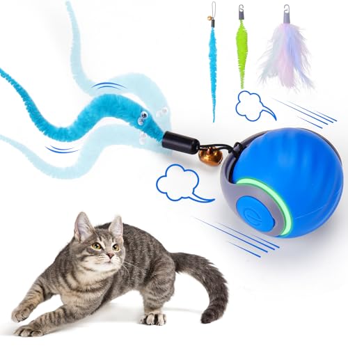 Best Toys to Keep Cats Entertained
