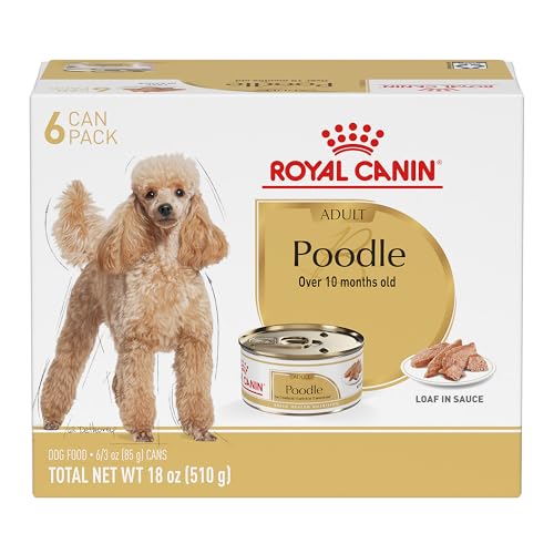 Best Wet Food for Toy Poodle Puppy