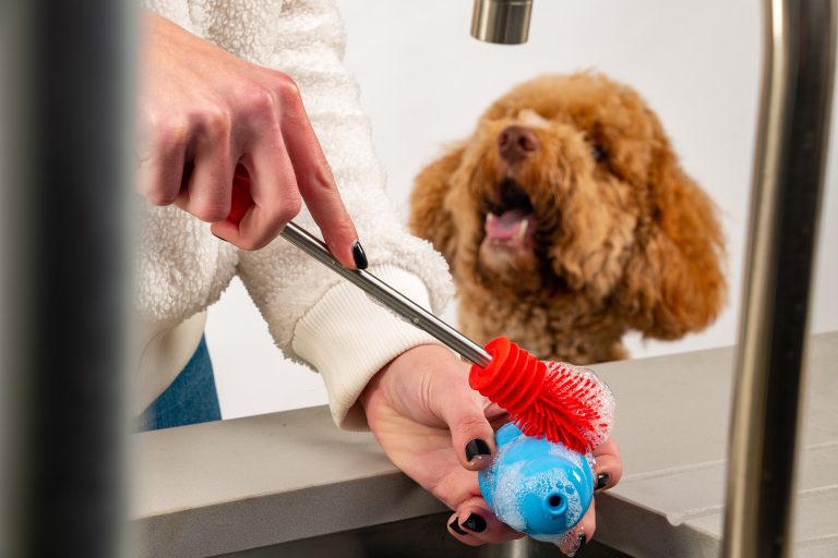How Do You Clean Dog Toys