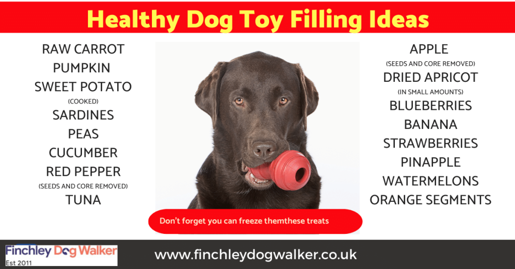 How to Use a Kong Dog Toy
