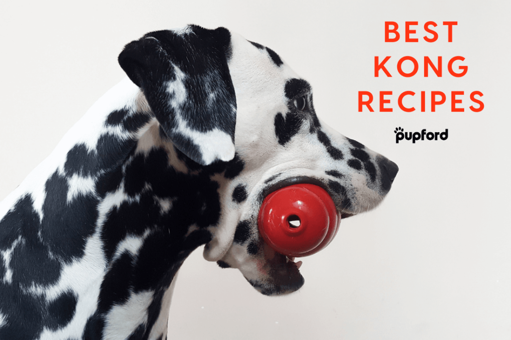 How to Use Kong Dog Toy