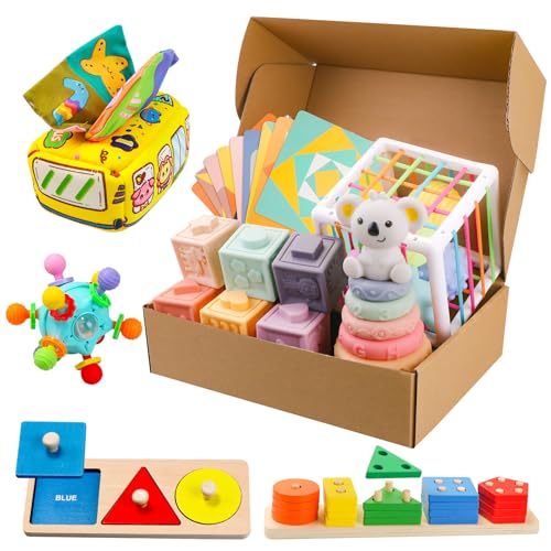 Montessori Toys for 6 Month Old