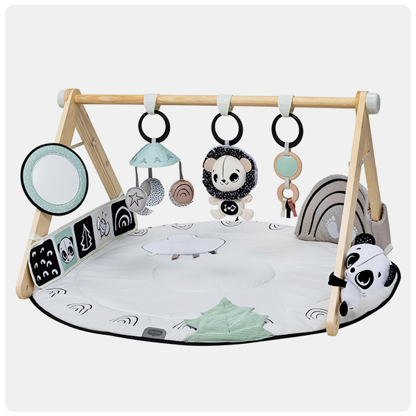 Must Have Newborn Toys