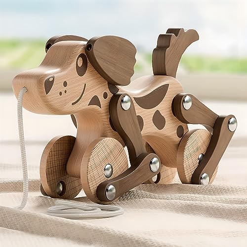 Pull Toys for Toddlers 2-3
