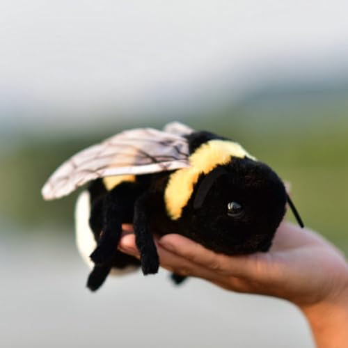 The Best Plush Toys