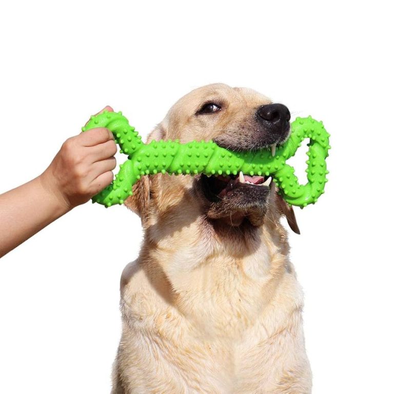 What is a Good Chew Toy for Dogs