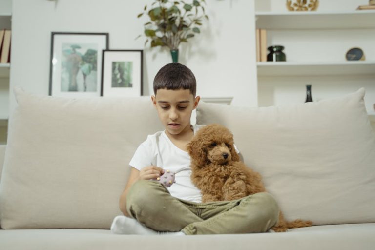 Best Puppy Heartbeat Toy for Calming Anxiety and Comfort