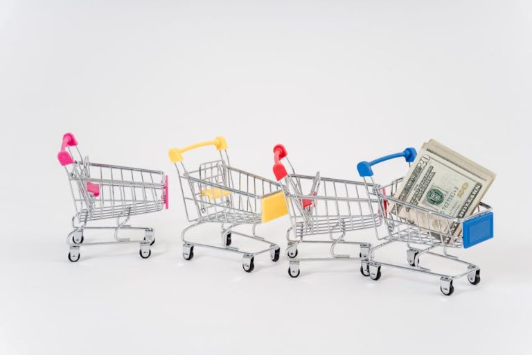 Why Toys R Us Failed: Lessons in Retail Strategy